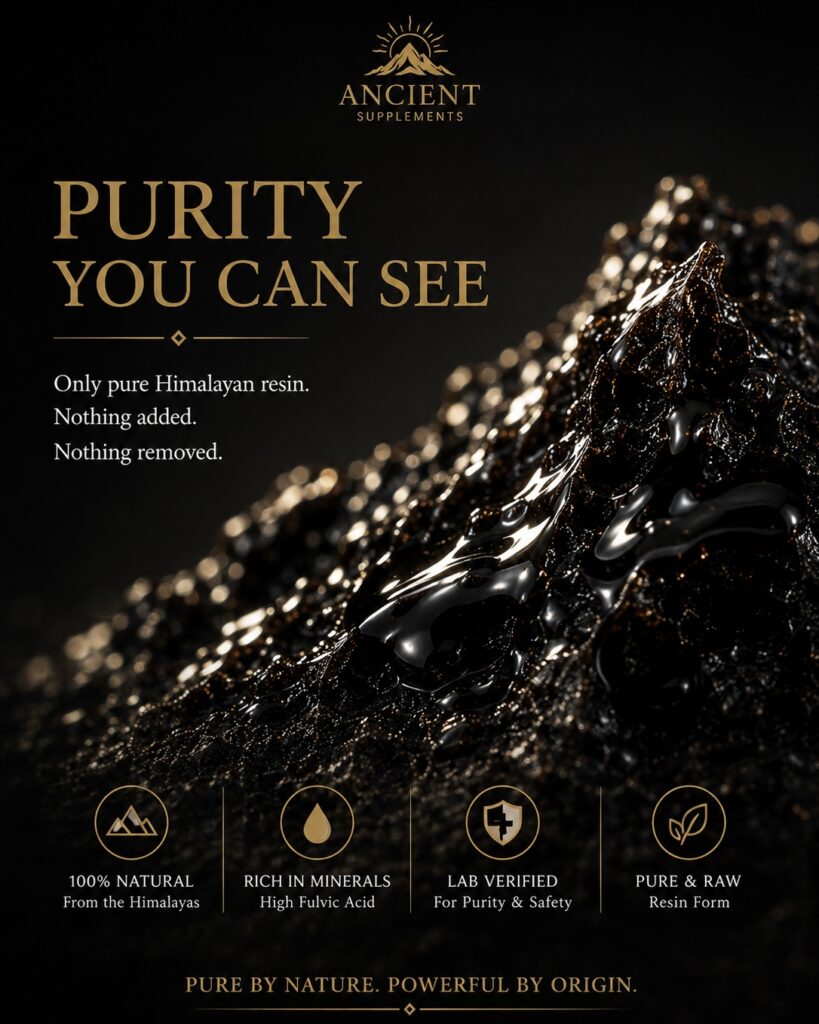 Ancient Shilajit